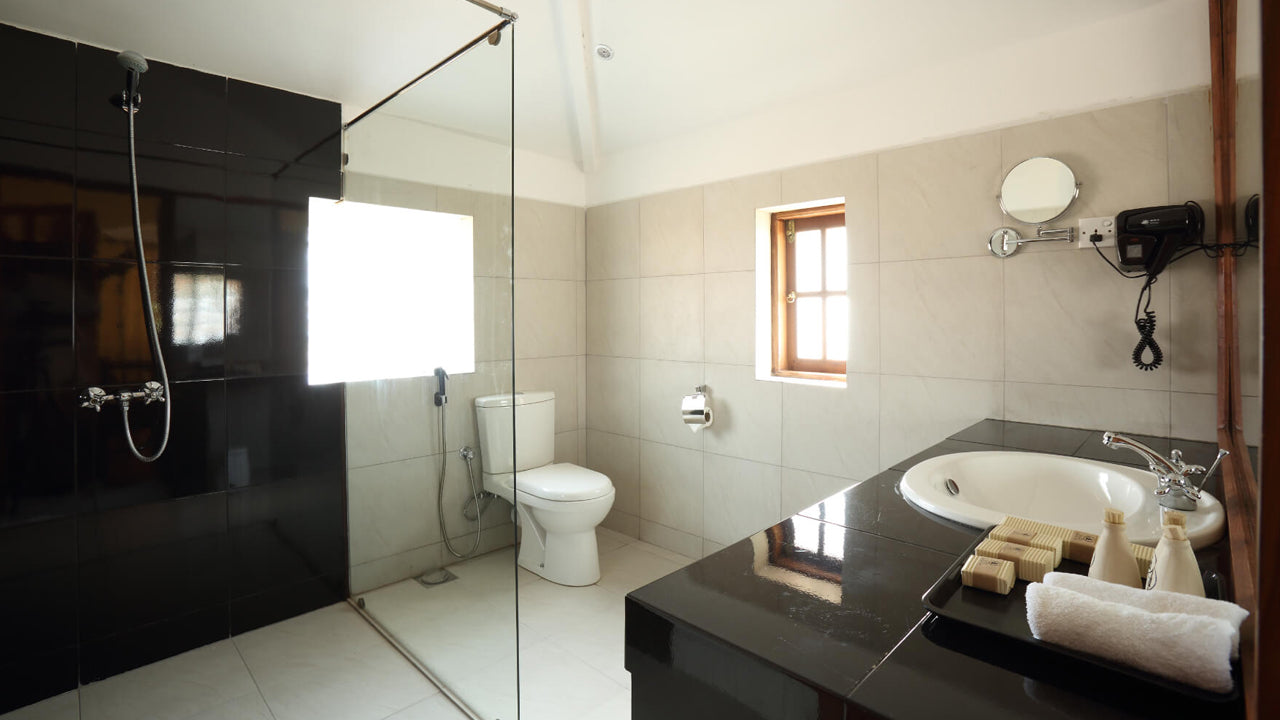 Le sanctuaire de Tissawewa, Anurâdhapura