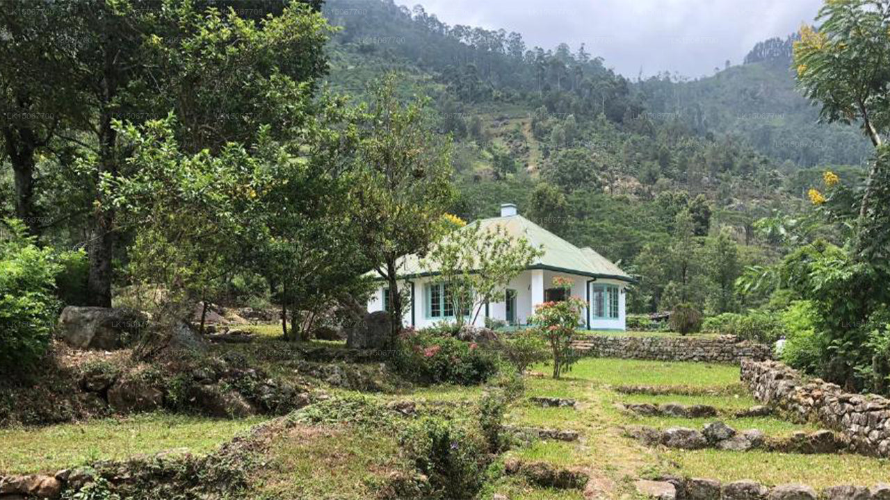 Haldummulla Mihidum Piyasa