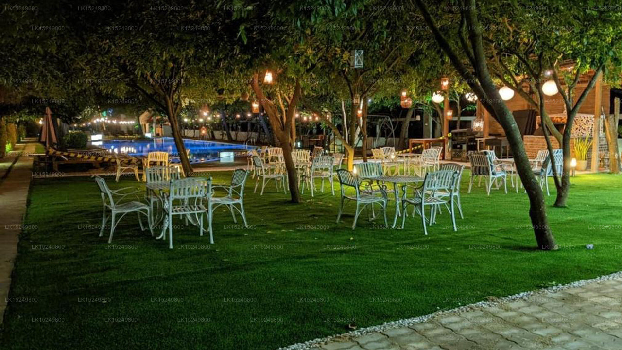 Blue Whale Resort, Kalpitiya