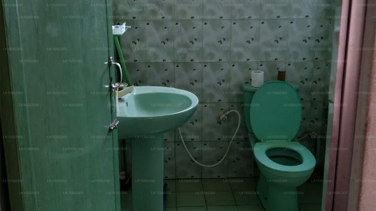 King Fish Guest House, Negombo