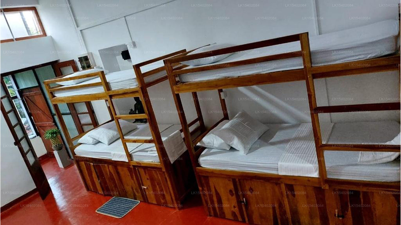 Ceylon StayZ, Colombo