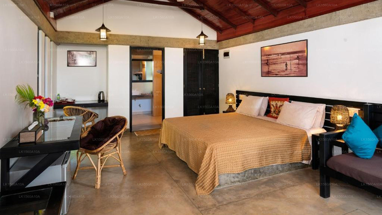 Seven Turtles, tangalla