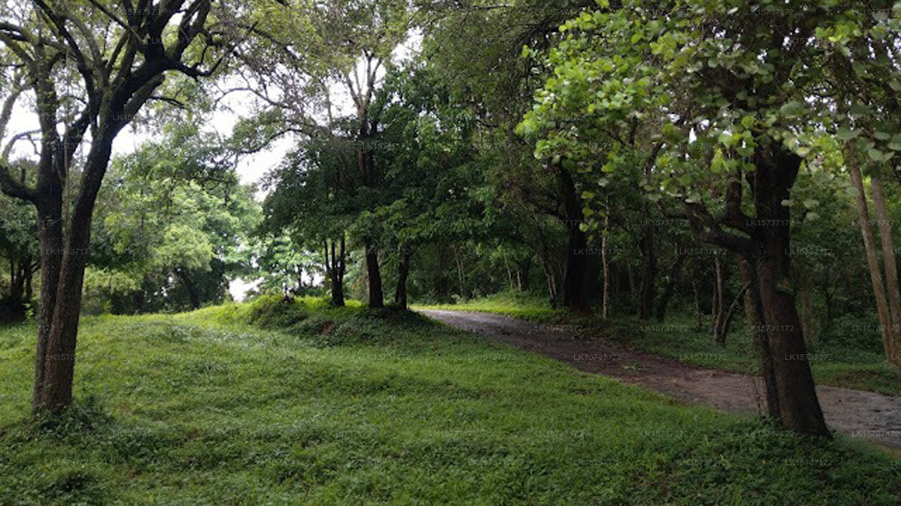 Wavul Abe Circuit Bungalow