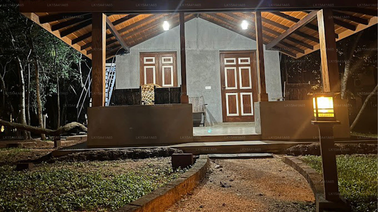 tree trails, sigiriya