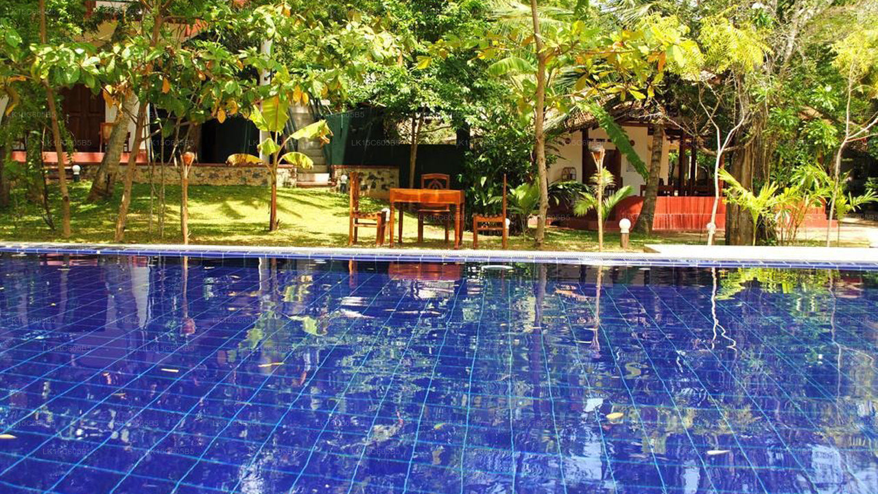 Peacock Land, Tangalle