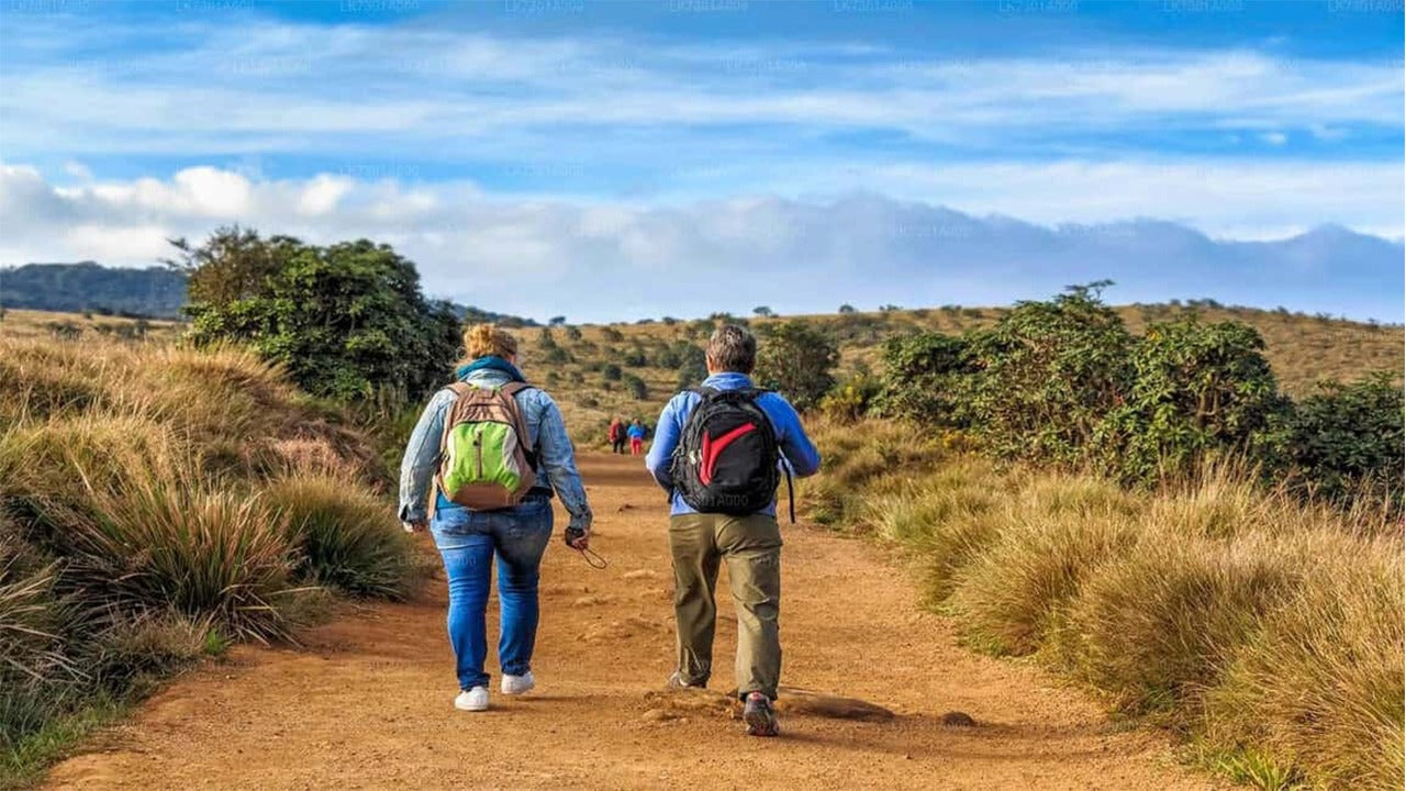 Visita guidata del Parco Nazionale di Horton Plains con biglietti d'ingresso inclusi.