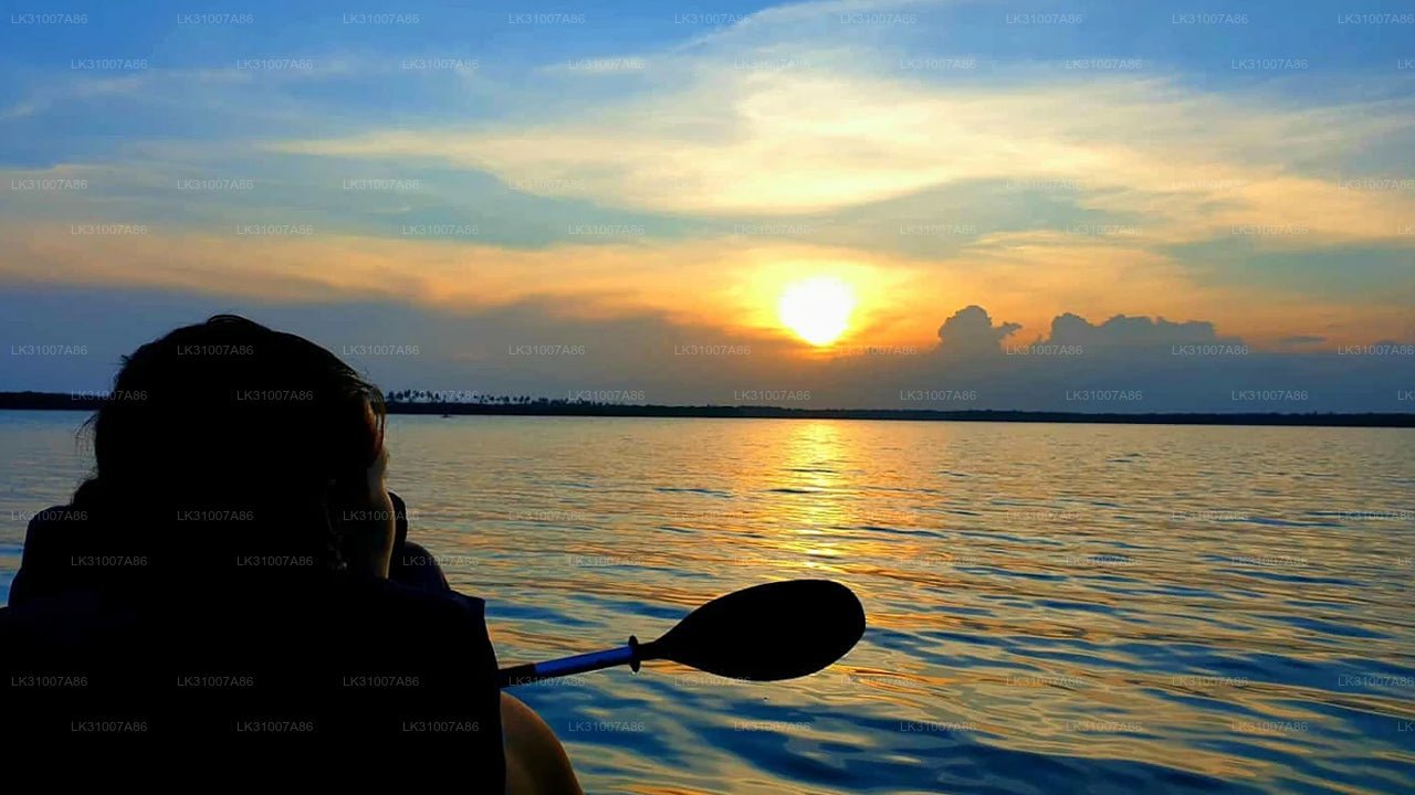Tour in kayak nella laguna da Negombo