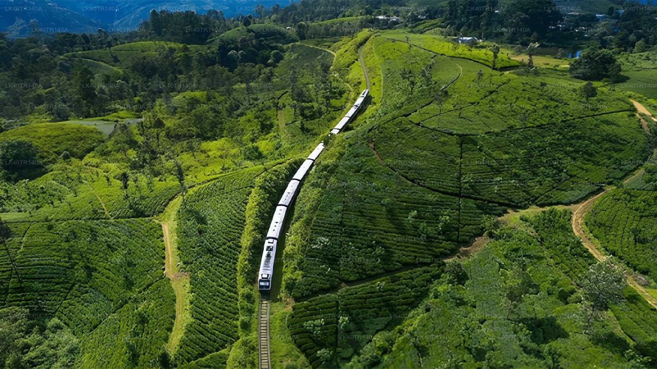 Da Kandy a Ella: un viaggio panoramico in treno e auto o furgone