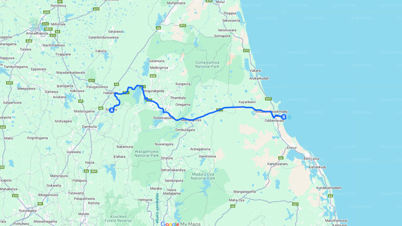 Trasferimento privato da Sigiriya a Pasikuda