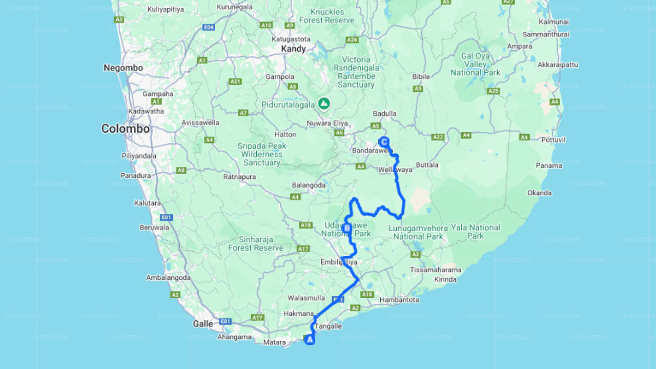 Private Tour from Hiriketiya to Ella with Udawalawe Safari