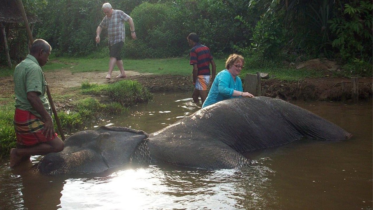 Passeggiata a dorso di elefante da Boossa