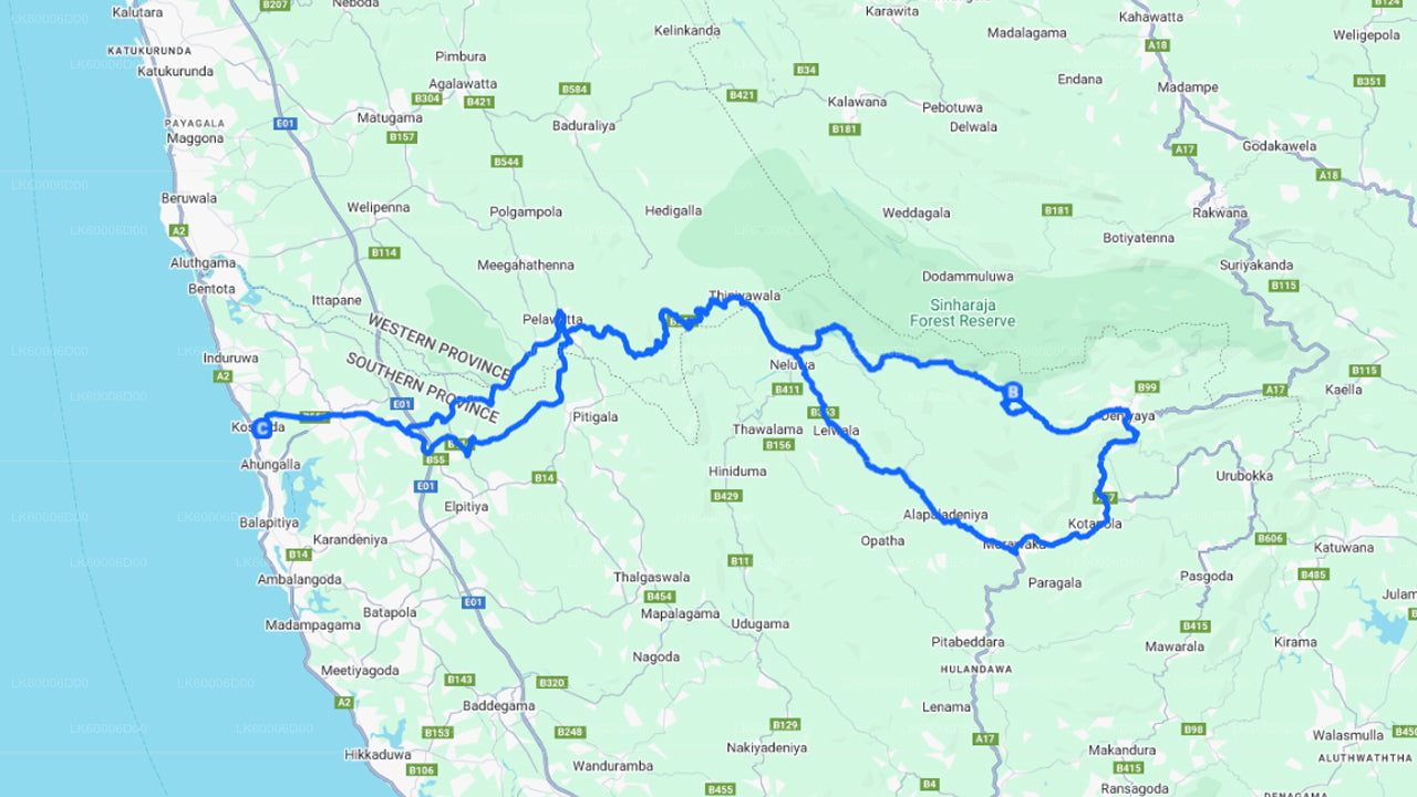 Sinharaja Rainforest Guided Tour from Kosgoda