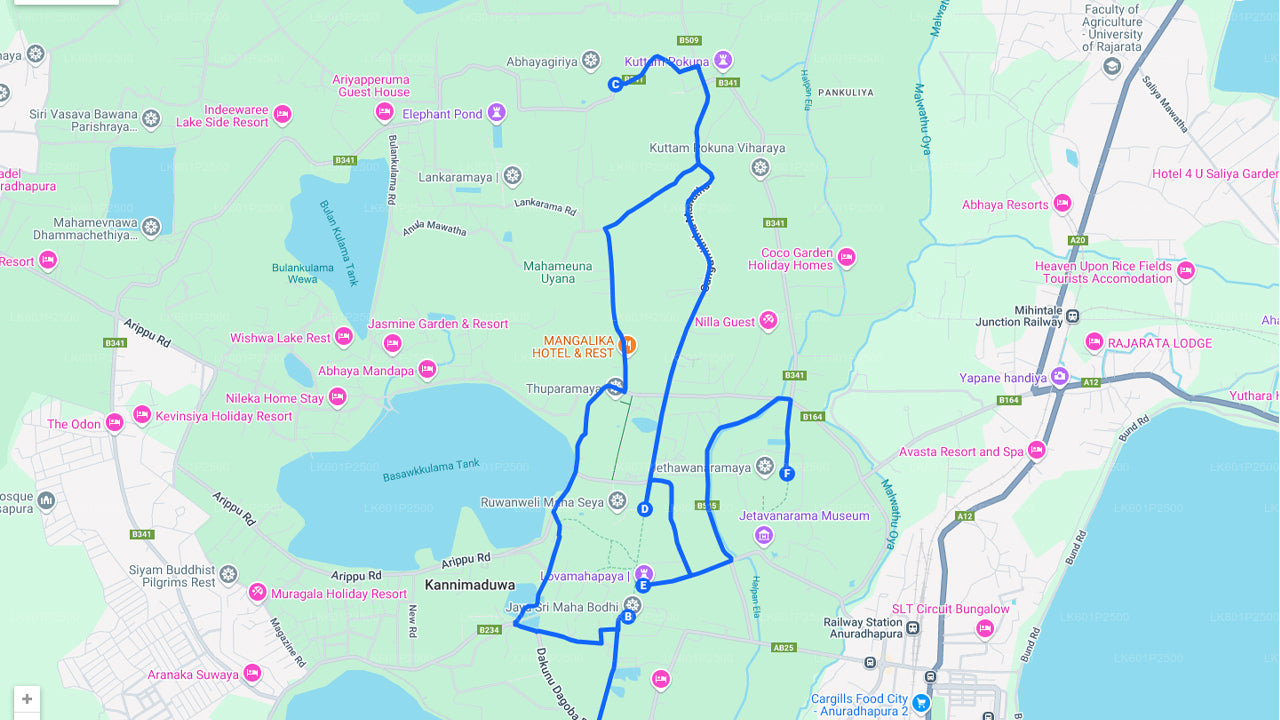 Sacred City of Anuradhapura from Negombo