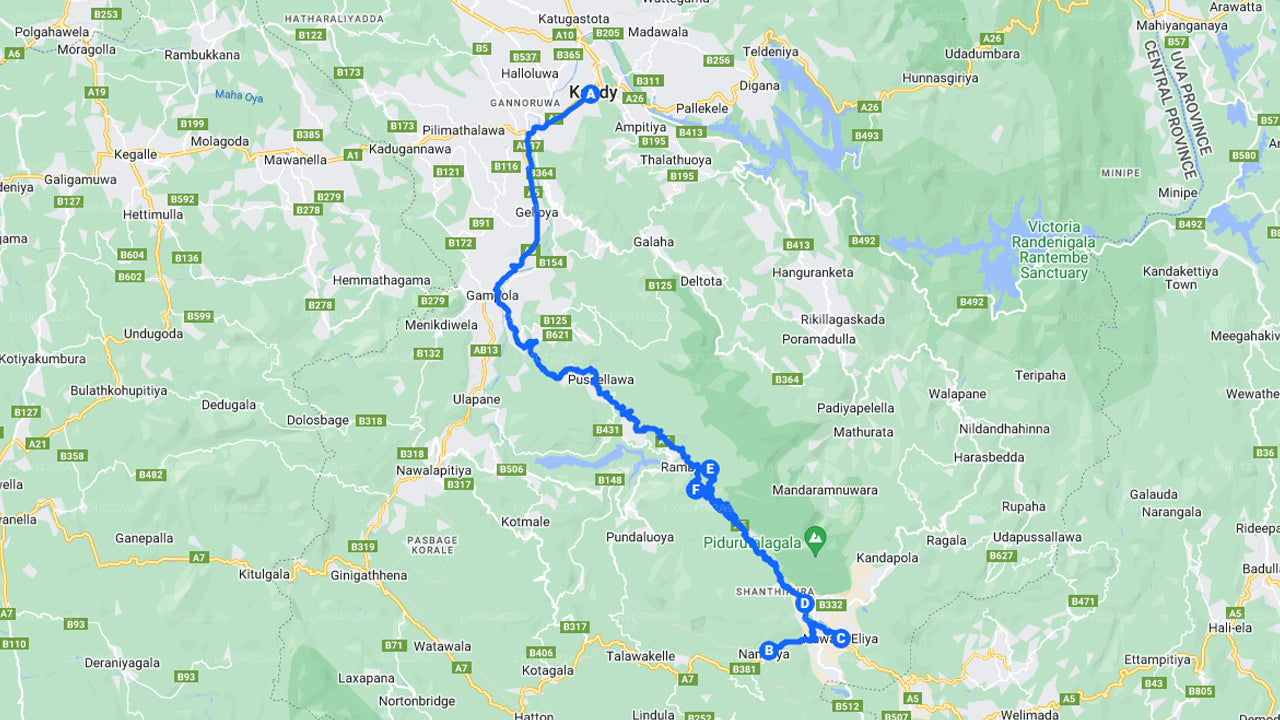 Viaggio panoramico in treno da Kandy a Nanu Oya