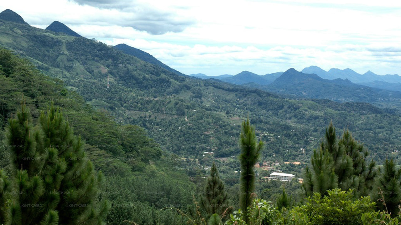 Escursione alla Roccia del Leone dalla foresta pluviale di Sinharaja