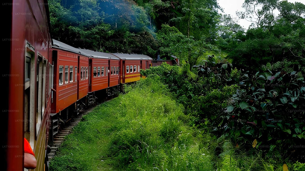 Viaggio in treno da Ambewela a Ella (treno n. 1005/1015)