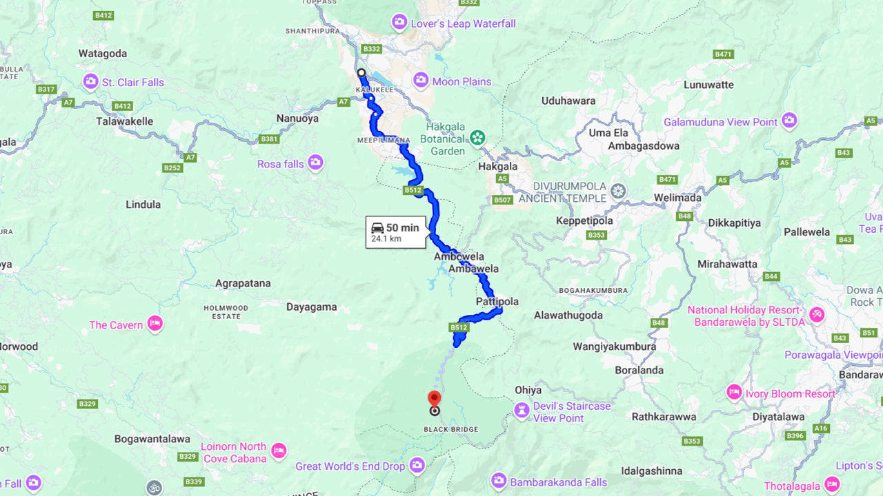 Horton Plains National Park Hike from Nuwara Eliya
