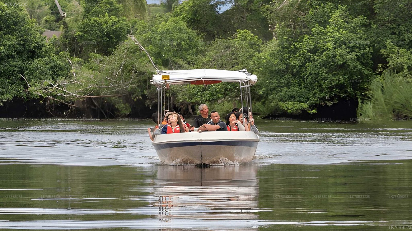 Lagoon Boat Tour from Mawella