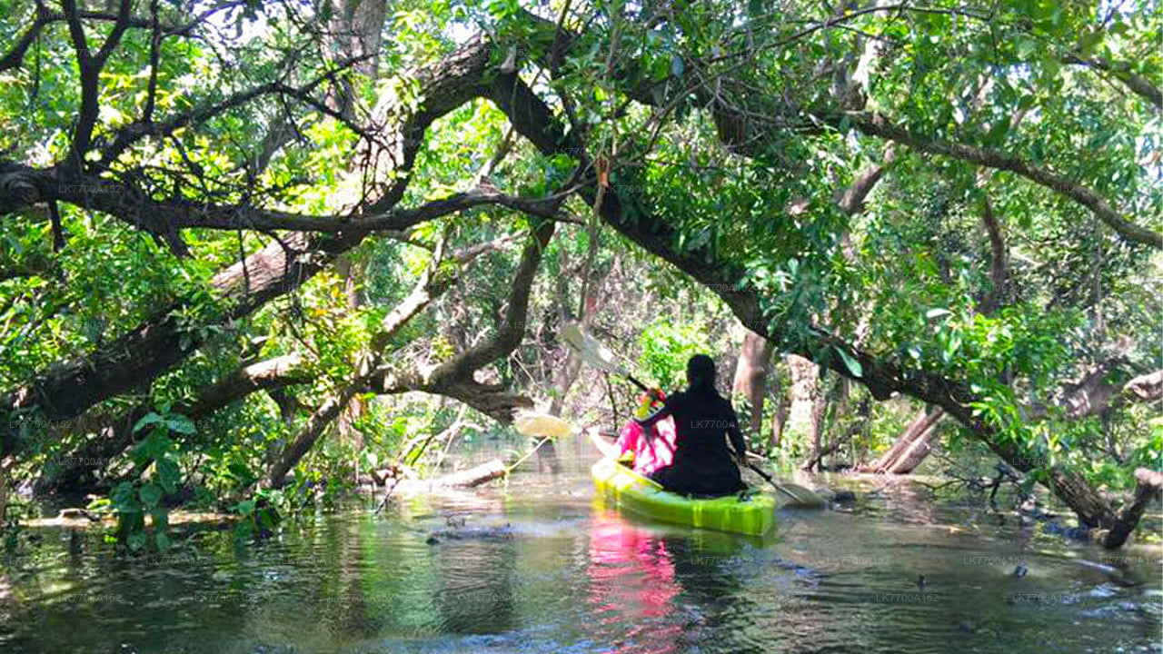 Lagoon Canoeing Tour From Galle