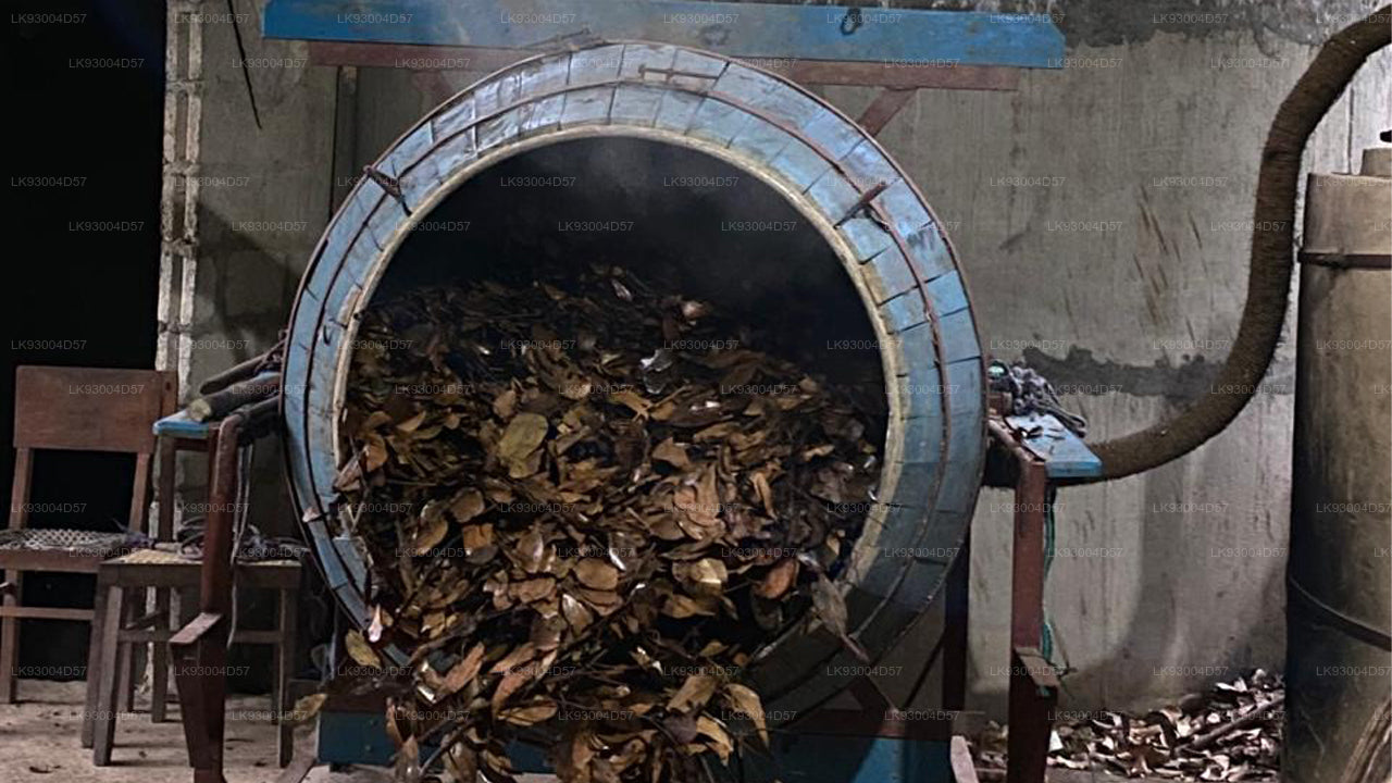 Esperienza pratica di creazione di incenso alla cannella con Ahangama