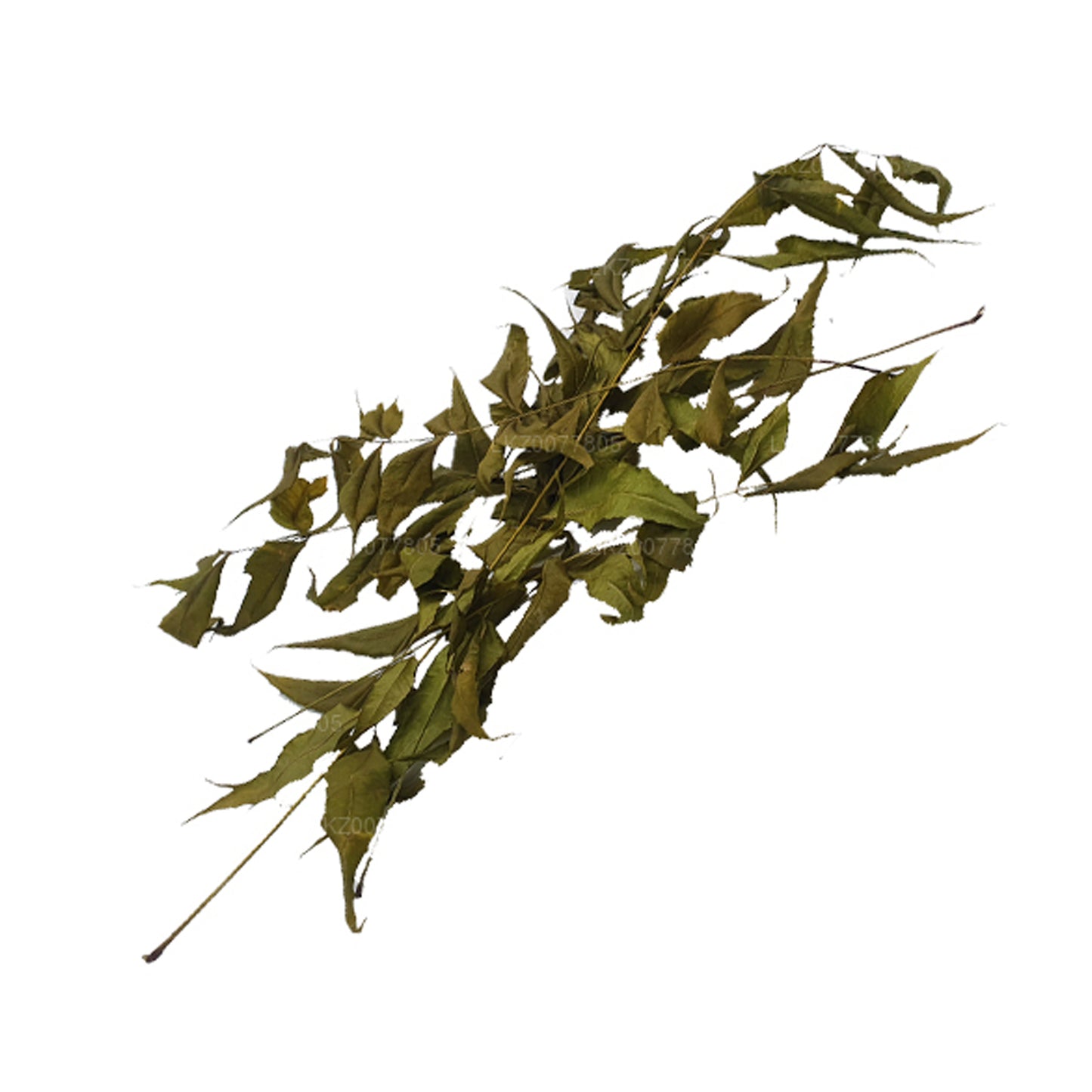 Lakpura Dehydrated Neem Leaves