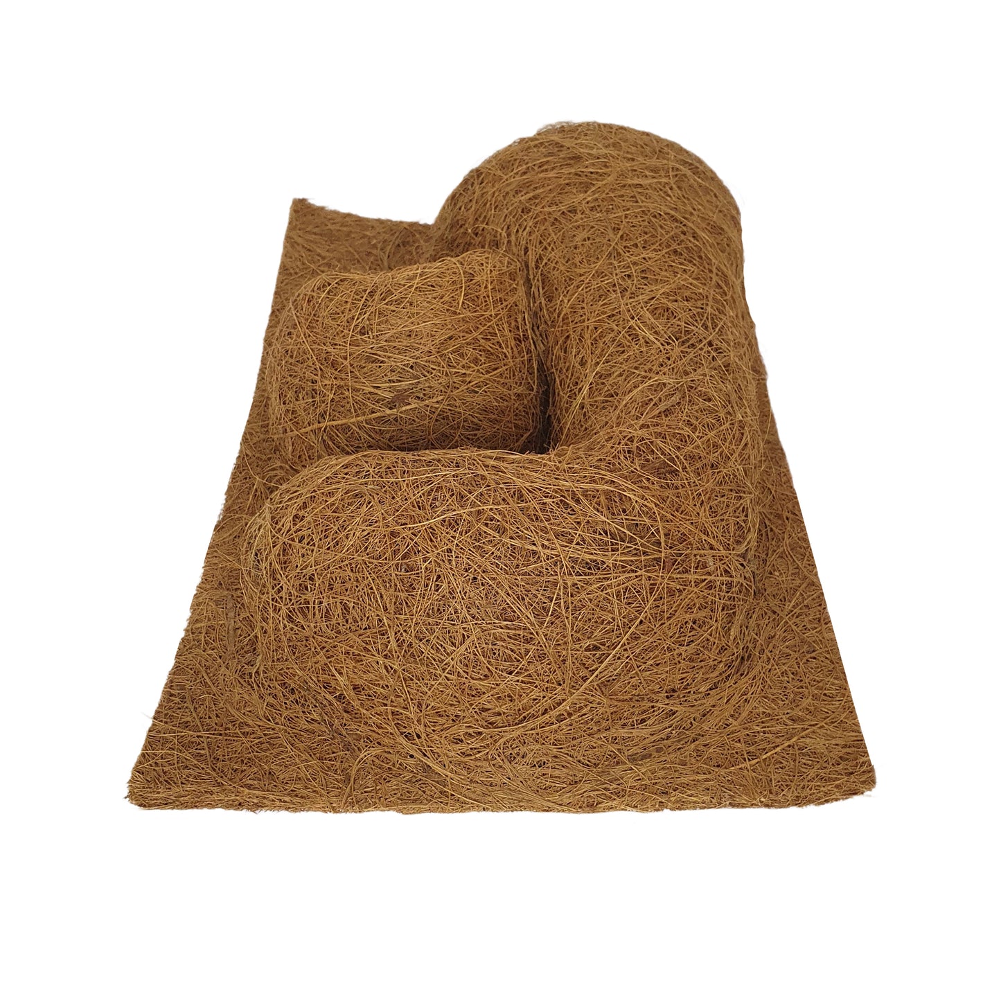 Sfondo naturale per piantagione di cocco Bivenro (20 cm x 30 cm)