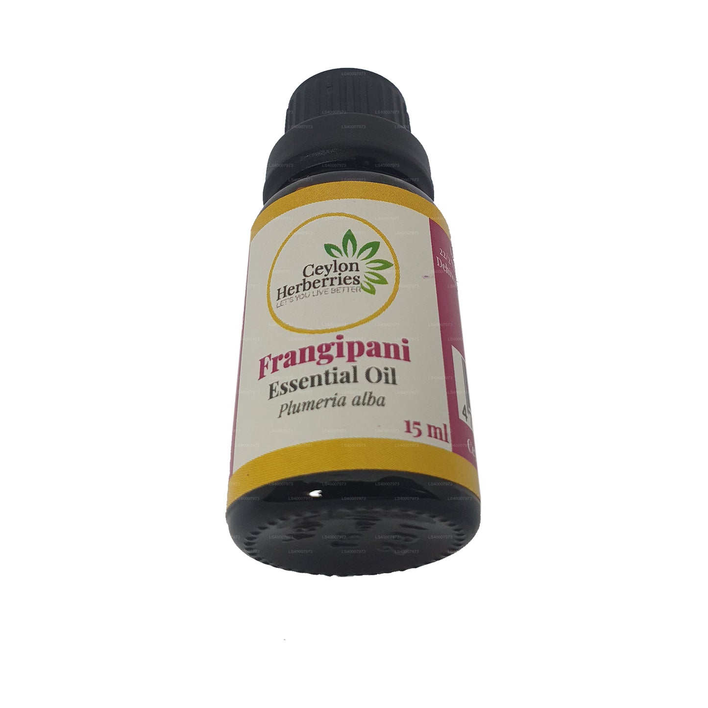 Olio essenziale di frangipane alle erbe di Ceylon (Plumeria alba) 15ml