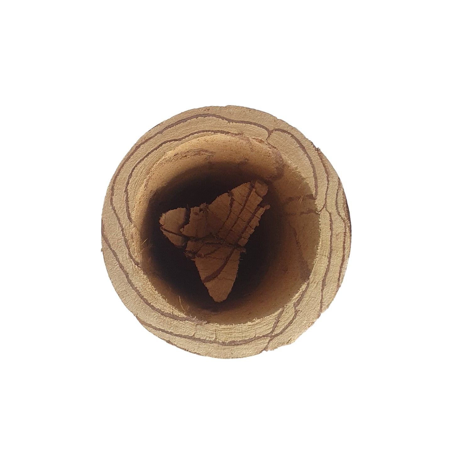 Tazza Lakpura® Kothala Himbutu (Salacia reticulata)