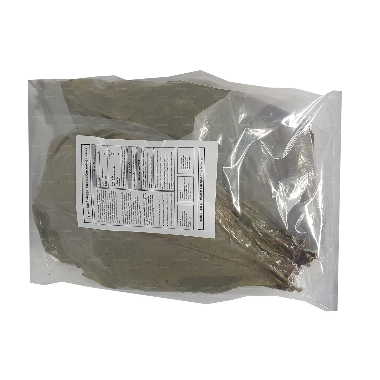 Lakpura disidratata (Kottan, Kottamba, mandorla indiana) Terminalia catappa 100 foglie (100 g)