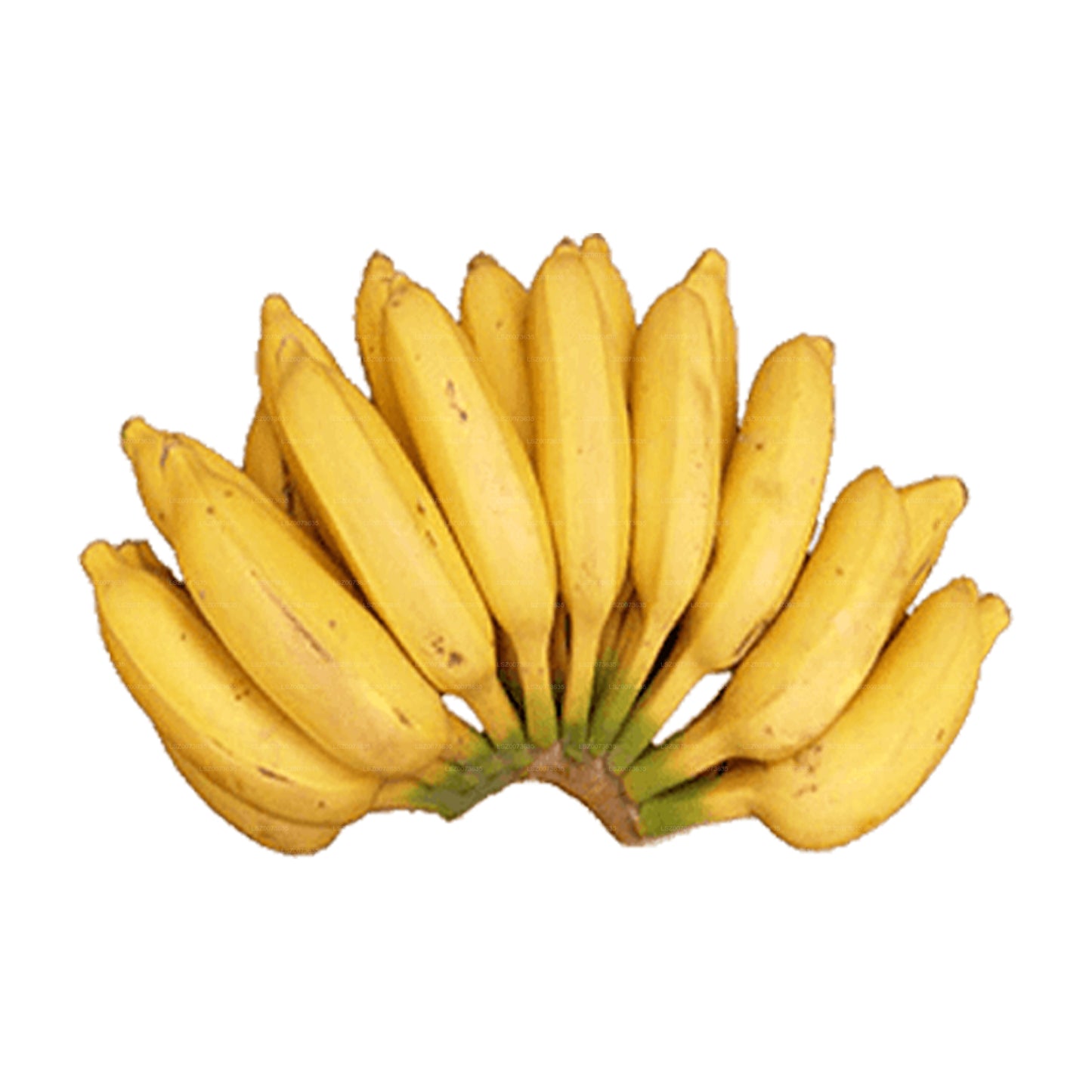 Seeni Banana (Seeni Kesel)