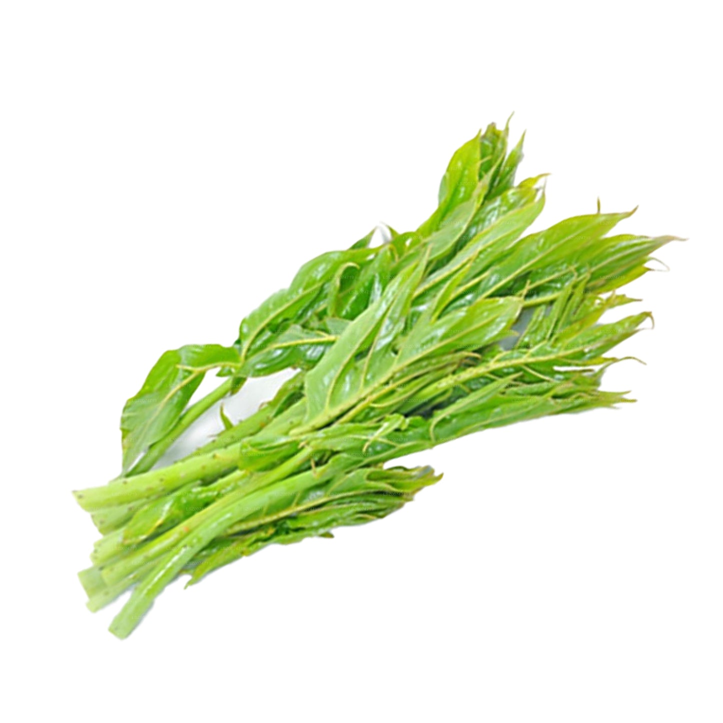 Foglie di Lakpura Kohila