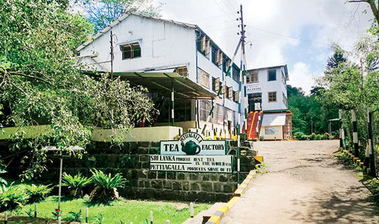 Pettiagalla Estate achieves an all-time record price