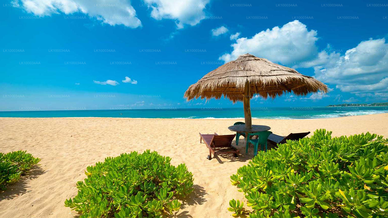 Scopri lo Sri Lanka con Mahesh Abeyratne