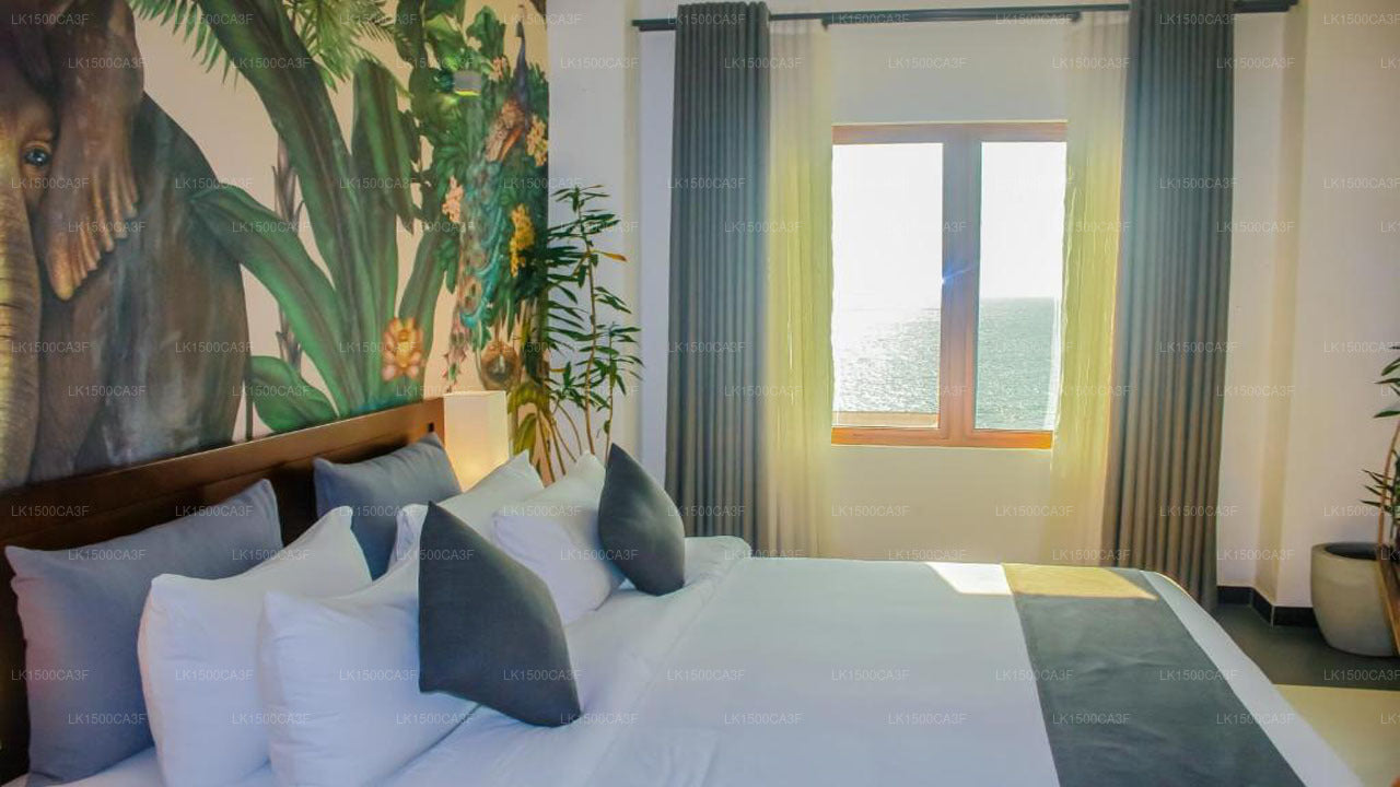 Morven Albergo, Colombo