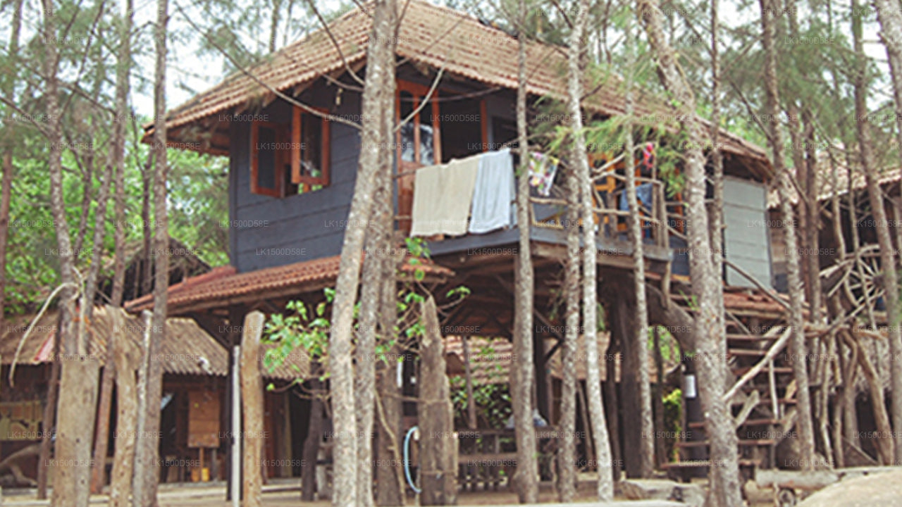 Beach Hut, Arugam Bay