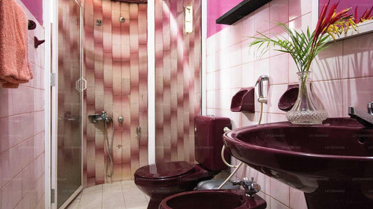 Little Taprobane, Waikkal