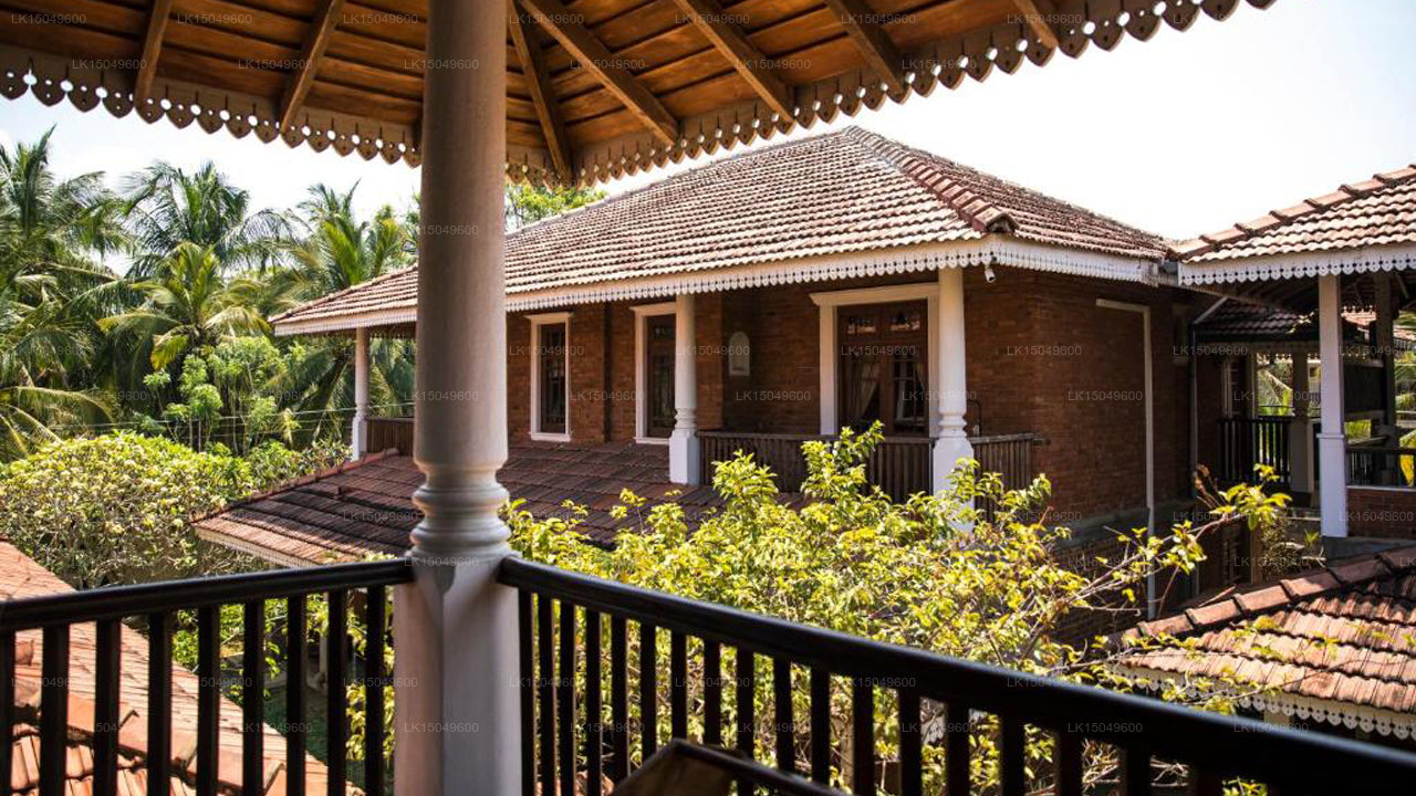 Villa Araliya, Negombo