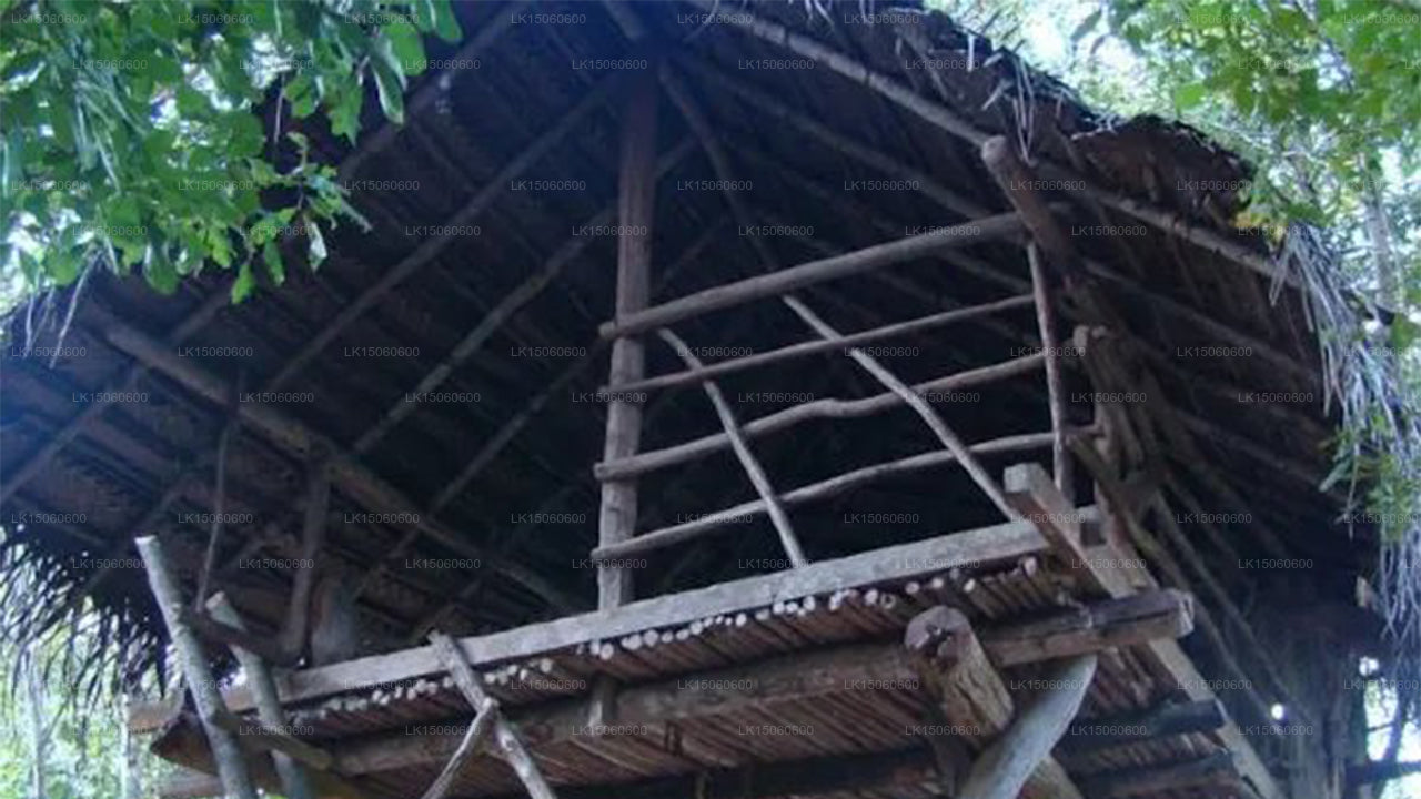 Cottage da sogno, Habarana