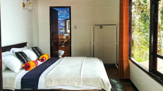 White Monkey - Dias Rest, Haputale