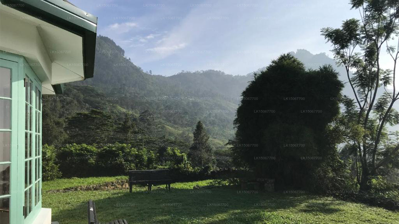 Haldummulla Mihidum Piyasa