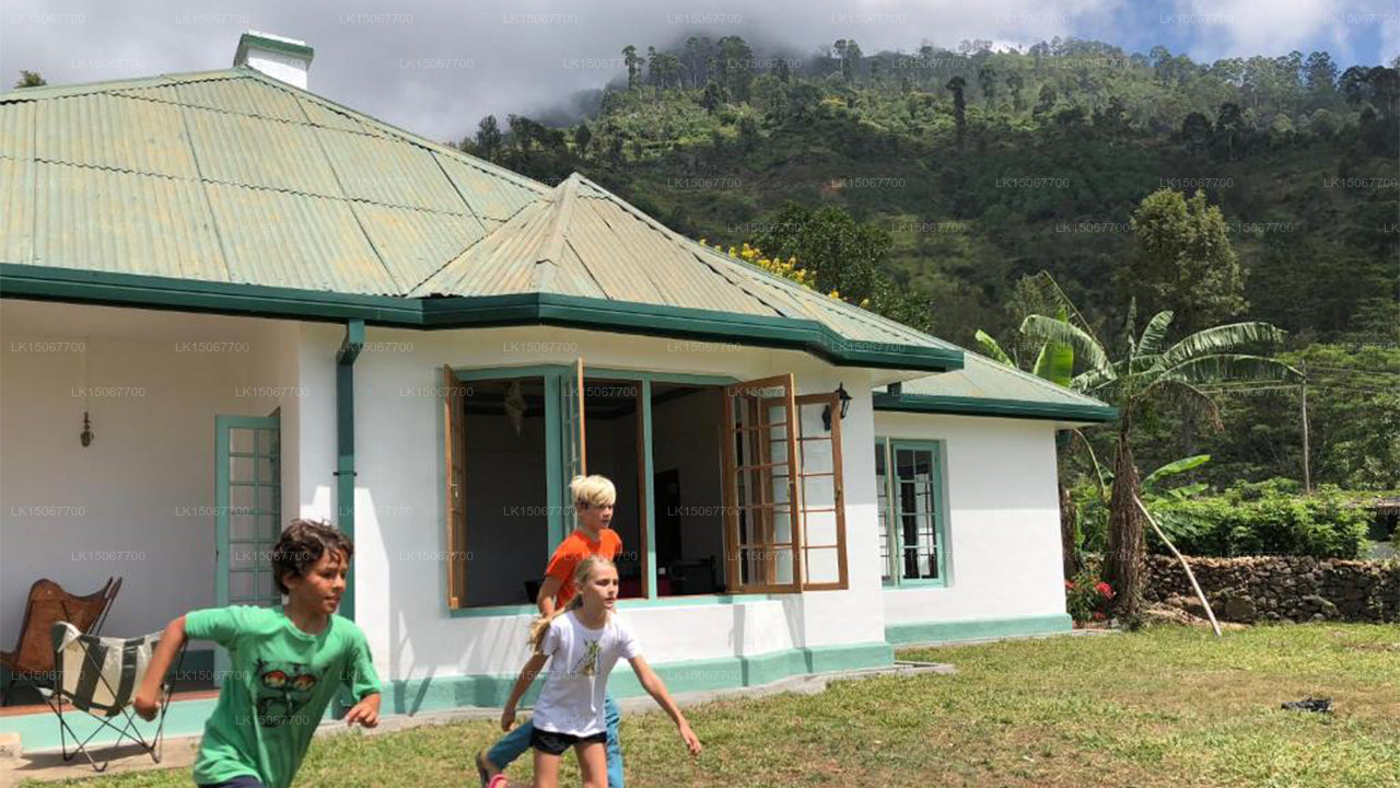 Haldummulla Mihidum Piyasa