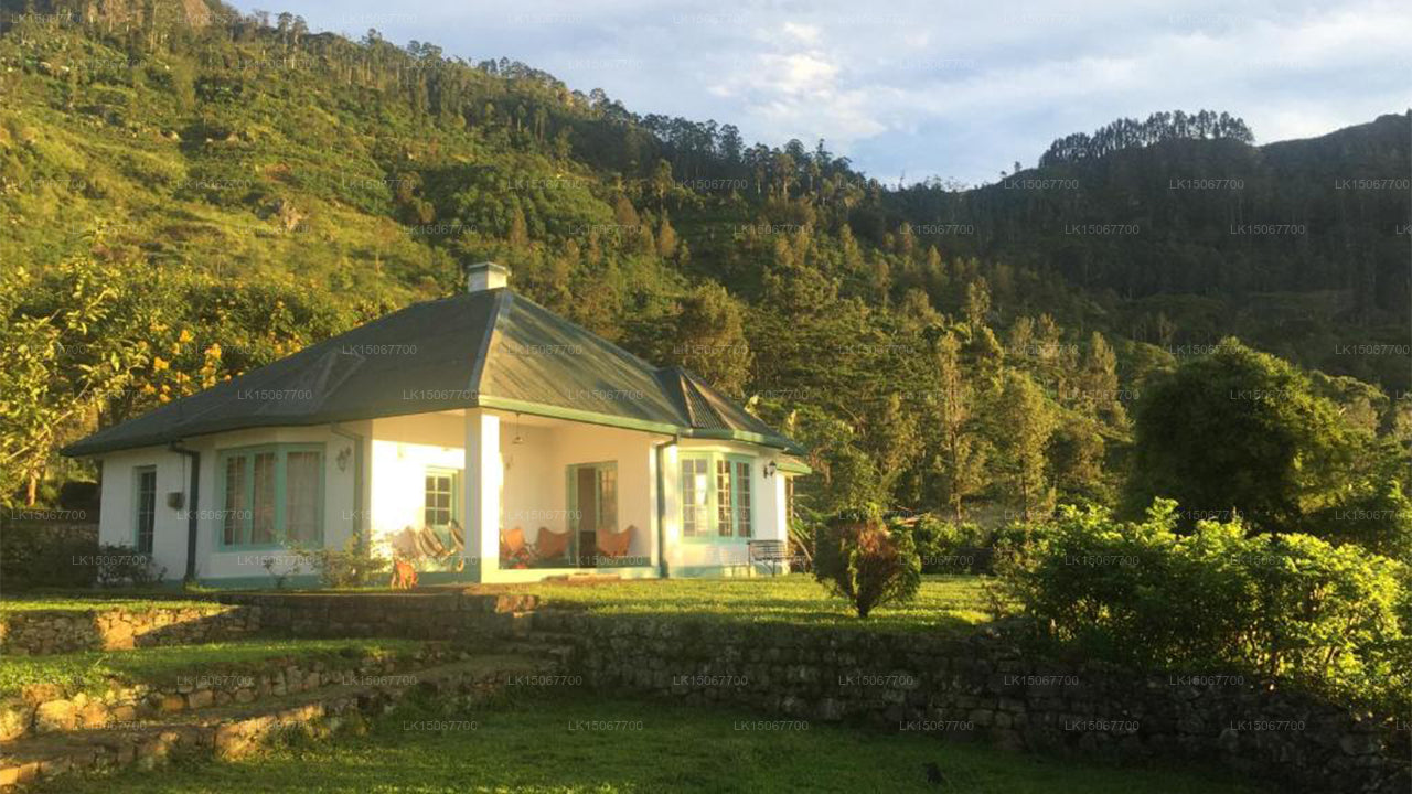 Haldummulla Mihidum Piyasa