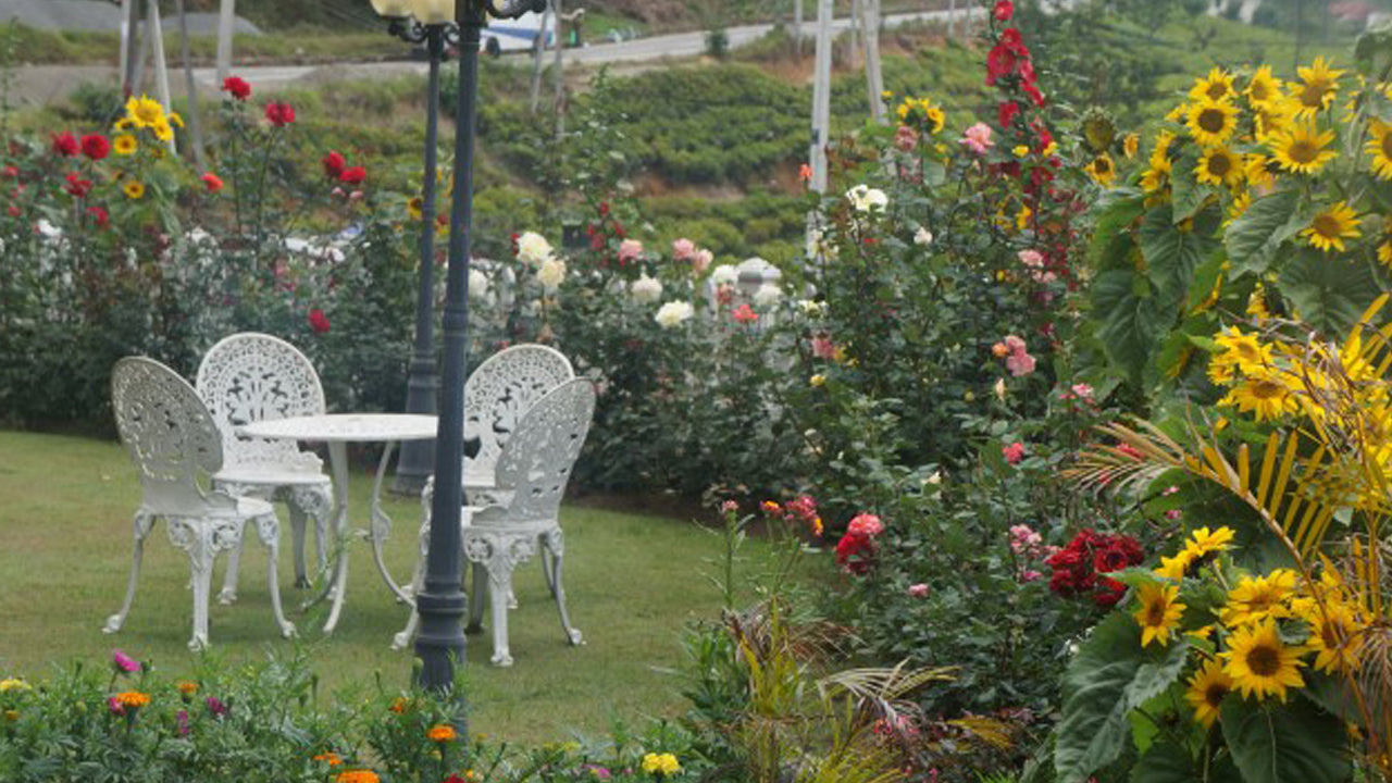 Midky Hotel, Nuwara Eliya