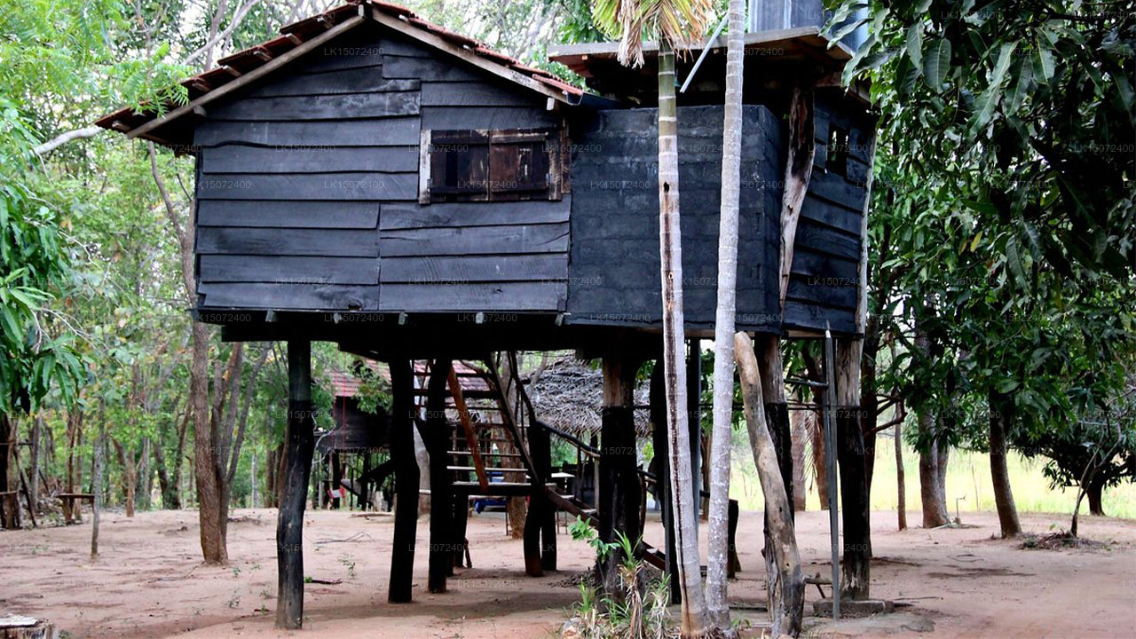 Eagle's Wings Affittacamere, Habarana