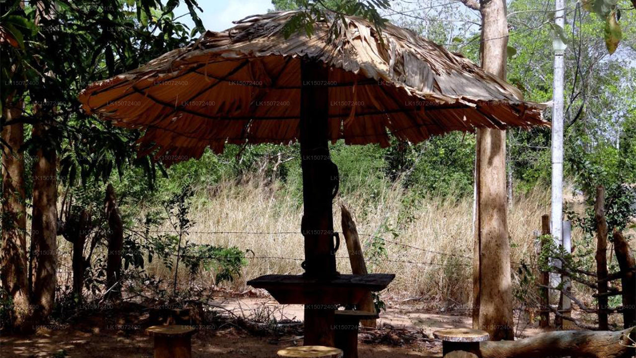 Eagle's Wings Affittacamere, Habarana