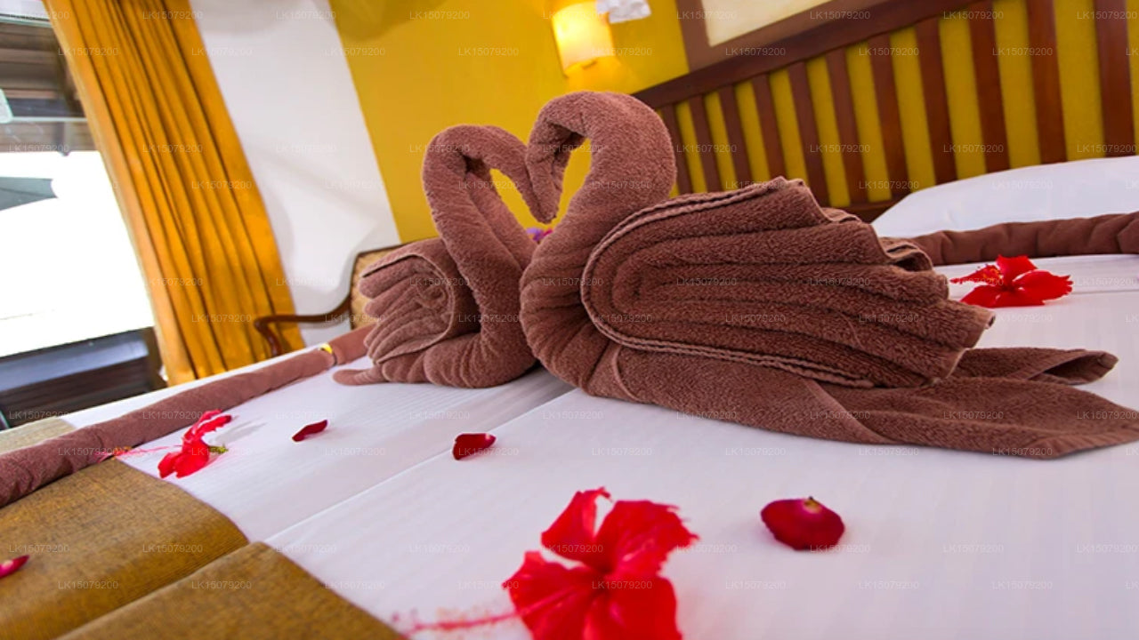 Hotel Ayurveda Paragon, Talpe