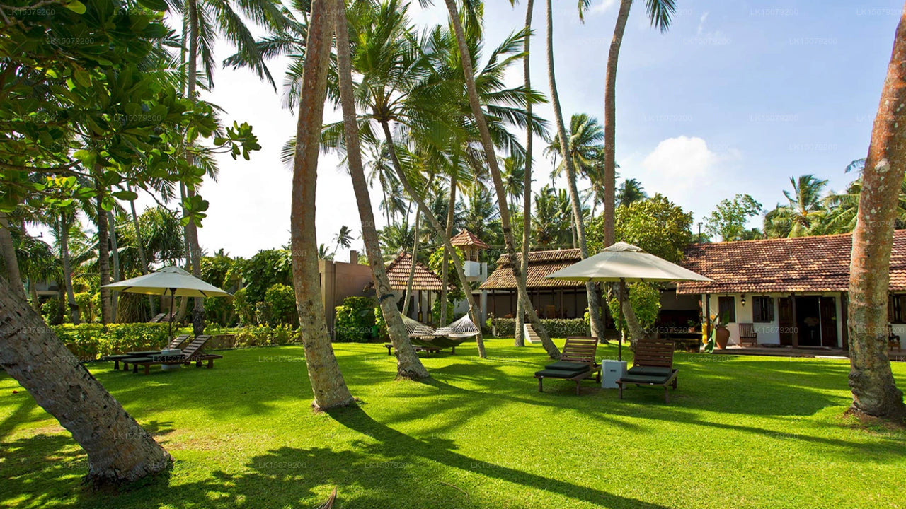 Hotel Ayurveda Paragon, Talpe