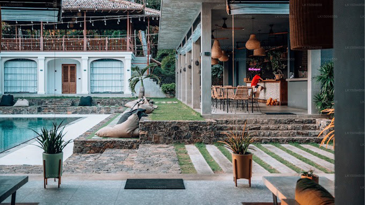 Salty Pelican, Hiriketiya