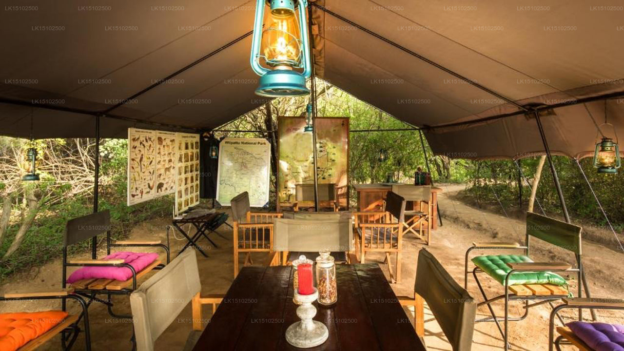 Mahoora Safari Camping, Wilpattu