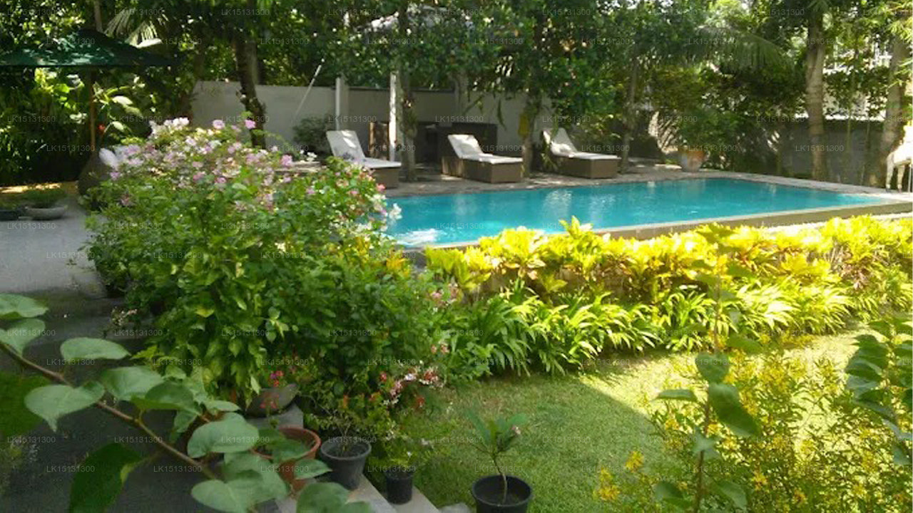 Paradise Halbarawa, Colombo